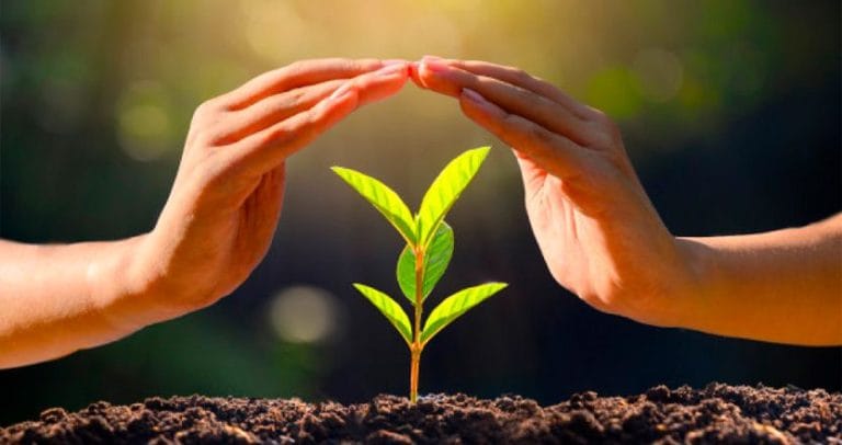 Jornada Mundial de oración por el cuidado de la creación (1 de septiembre)