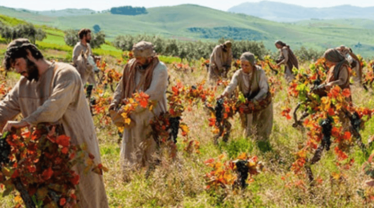 “Vayan y den fruto”