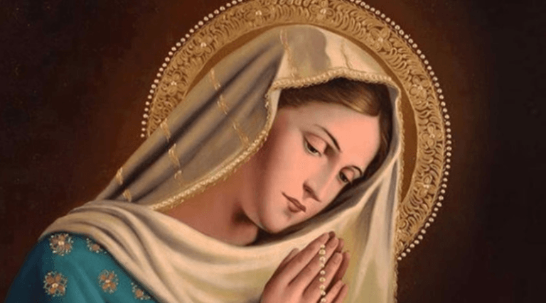 ¡Qué gozo inmenso de la Virgen María!: Transmitir la alegría de lo que lleva en su vida a ¡Jesucristo el Salvador!