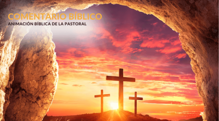 COMENTARIO BÍBLICO: «VIO Y CREYÓ»