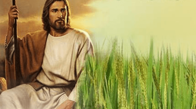 Evangelio Escenificado: Undécimo domingo durante el año