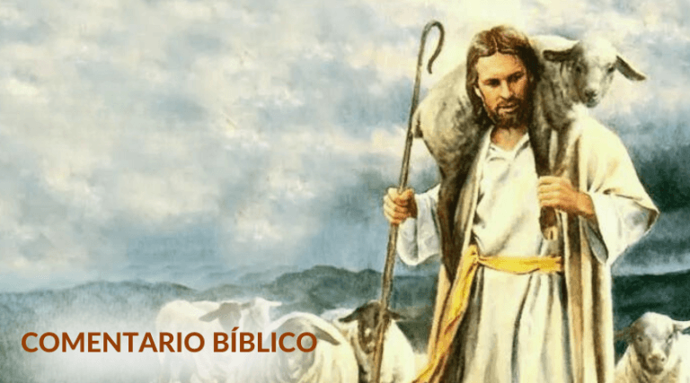 «Eran como ovejas sin pastor»