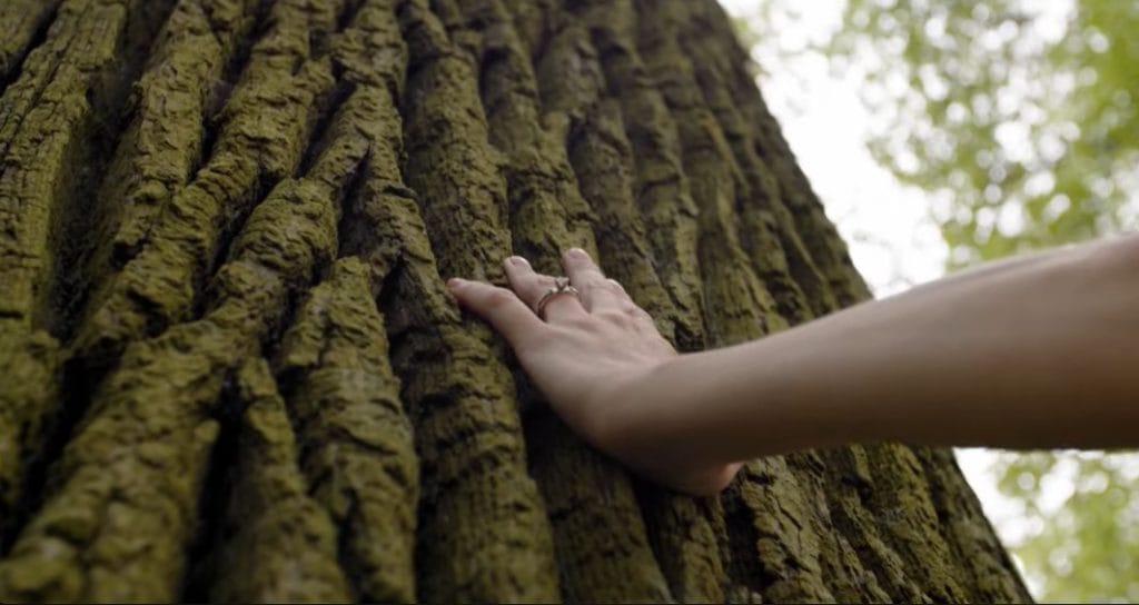 Screenshot 11 1024x544