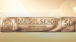 Home Banner Ceniza Wordpress 1920 X 1080 Px 300x169